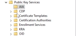 How To Manually Remove A Failed Certificate Authority from Active